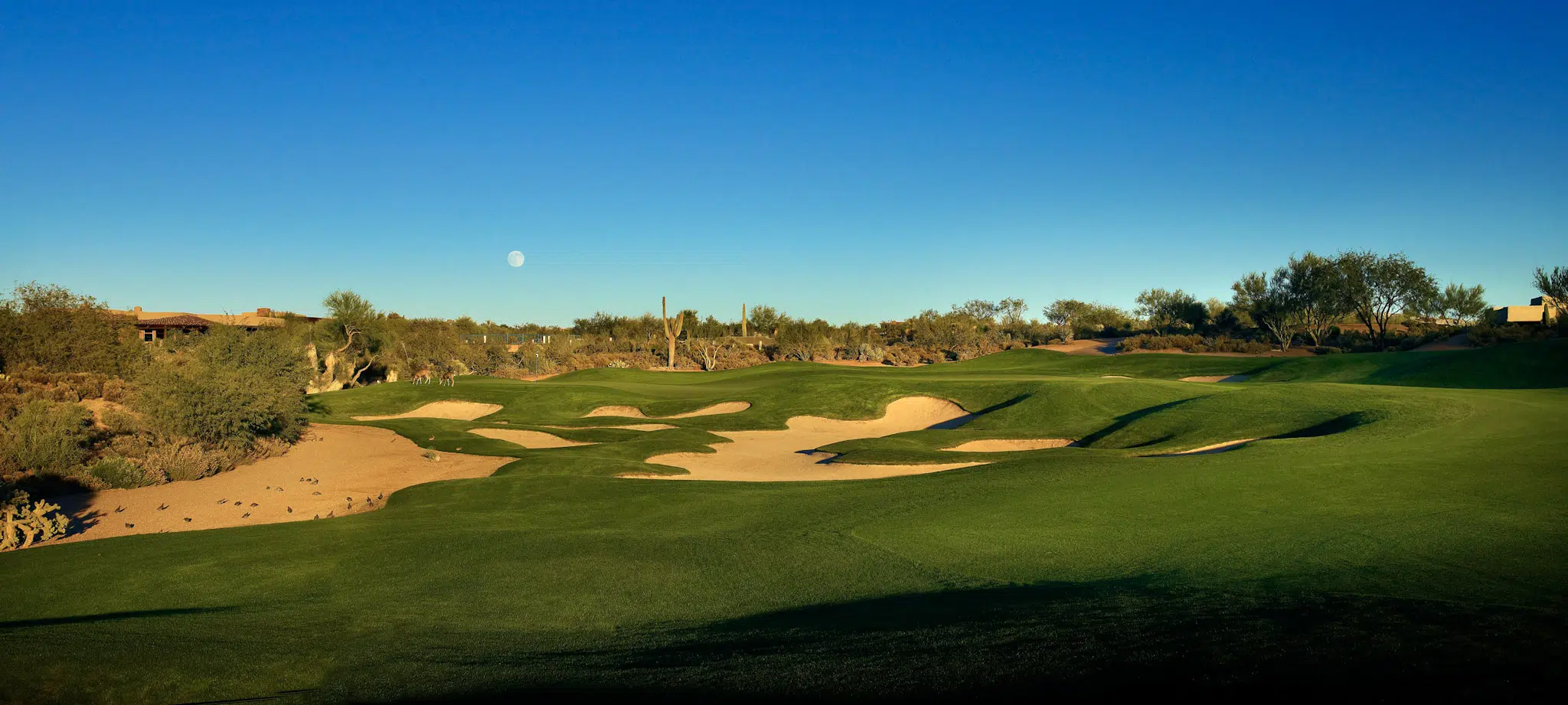 Desert Mountain Geronimo Golf Course photo 1