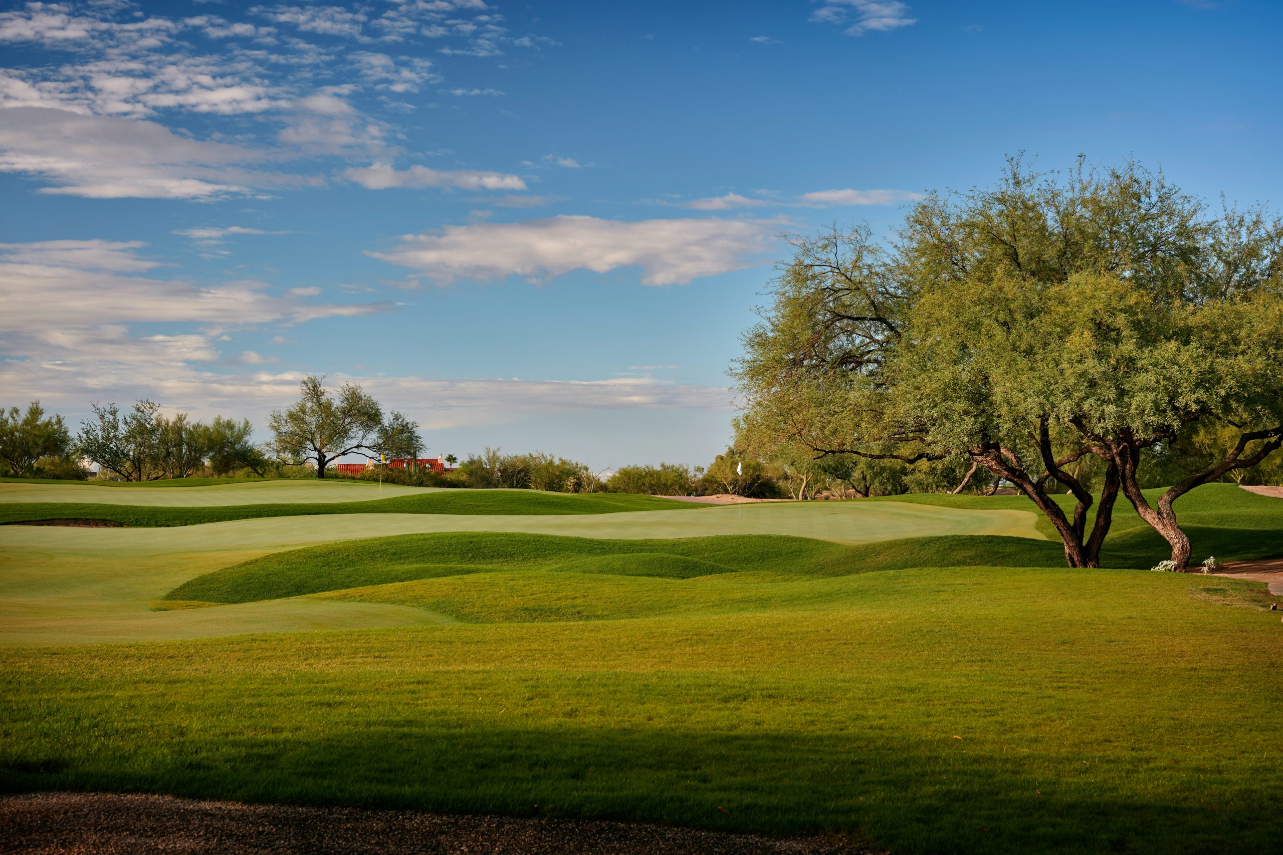 Renegade Course Private Arizona Golf Desert Mountain