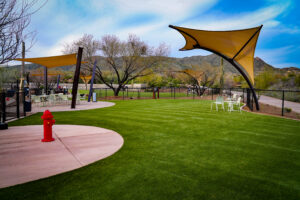 the dog park at desert mountain club showing a red fire hydrant and open green space
