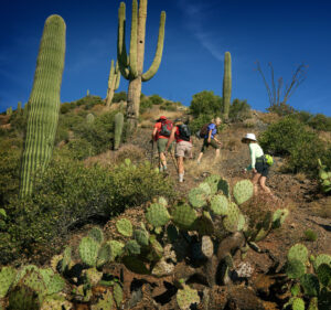 people hiking on the trails surrounded by cactus and desert landscape at desert mountain club