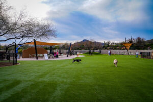 wide shot showing the bark park at desert mountain club