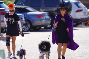 two members dressed up for halloween walking their dogs to a dog event at desert mountain club